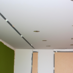 Faux plafond tendu : une solution moderne pour votre espace Petit-Bourg